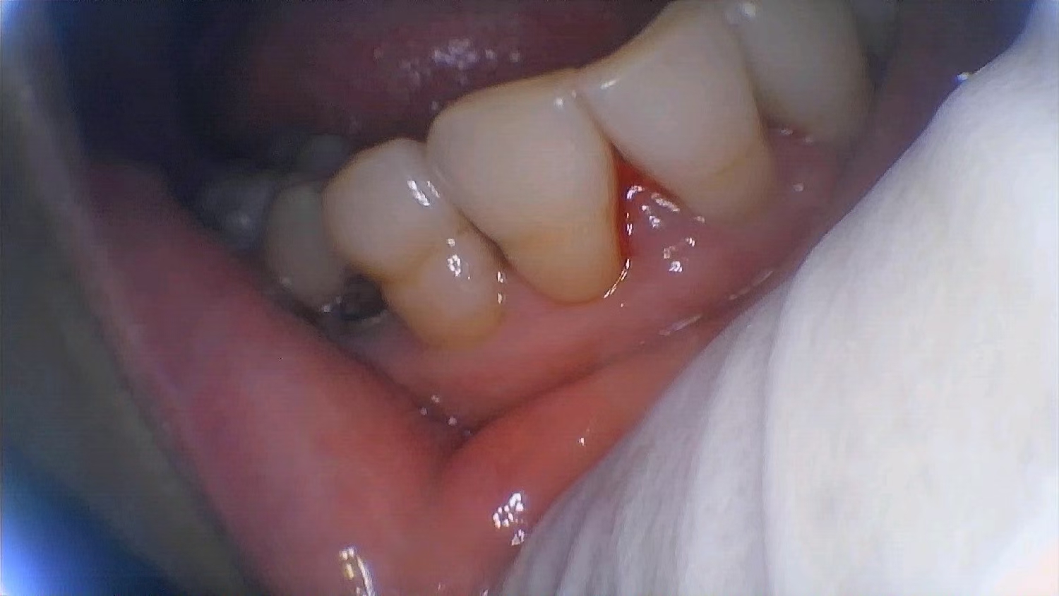 微信图片_20241202165158 微信图片_20241202165158