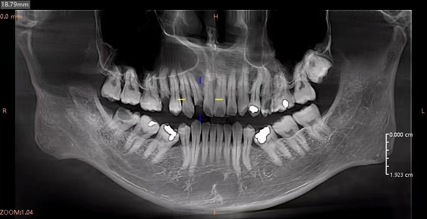 Weixin Image_20260105112156_66_41