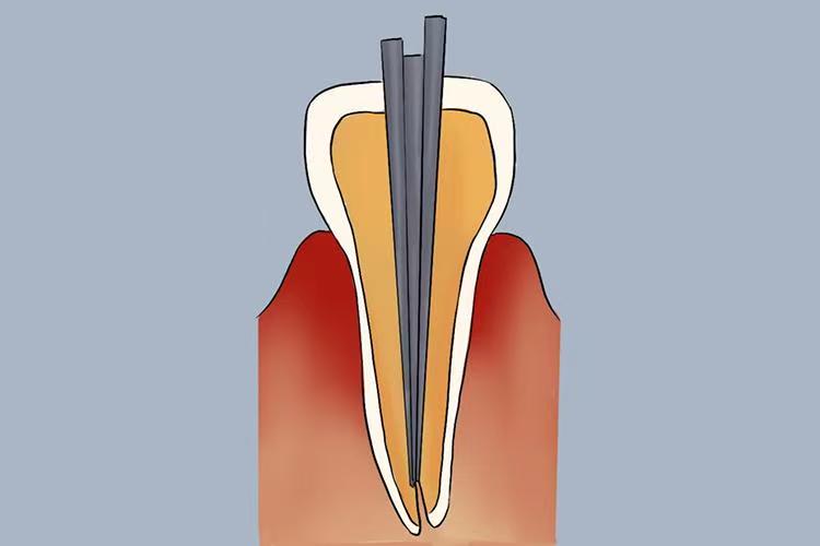 微信图片_20260311223803_87_5